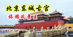 男女日皮有声视频中国北京-东城古宫旅游风景区
